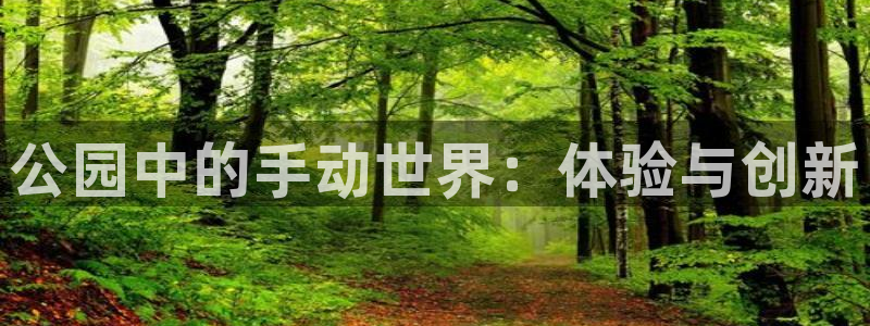 熊猫体育集团E.ON：公园中的手动世界：体验与创新