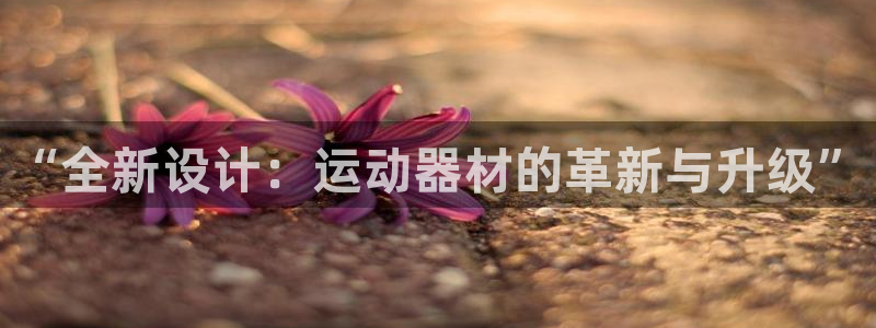 海南熊猫体育官网下载：“全新设计：运动器材的革新与升级”