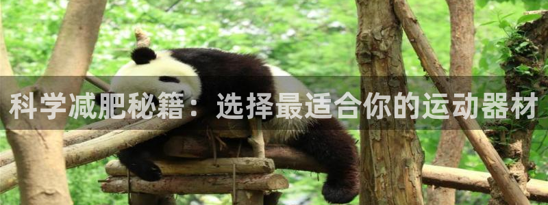 熊猫体育官网下载：科学减肥秘籍：选择最适合你的运动器材