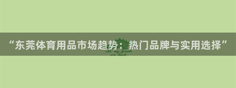 熊猫体育神州：“东莞体育用品市场趋势：热门品牌与实用