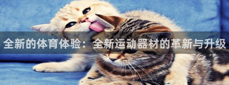 熊猫体育官方：全新的体育体验：全新运动器材的革新与升